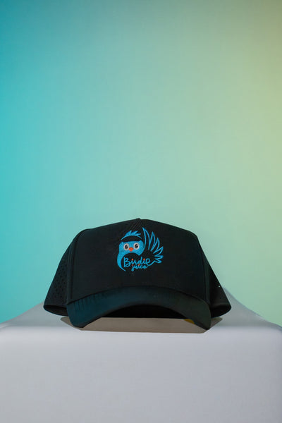 Birdie Juice Black Snapback
